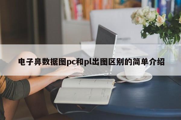 电子鼻数据图pc和pl出图区别的简单介绍