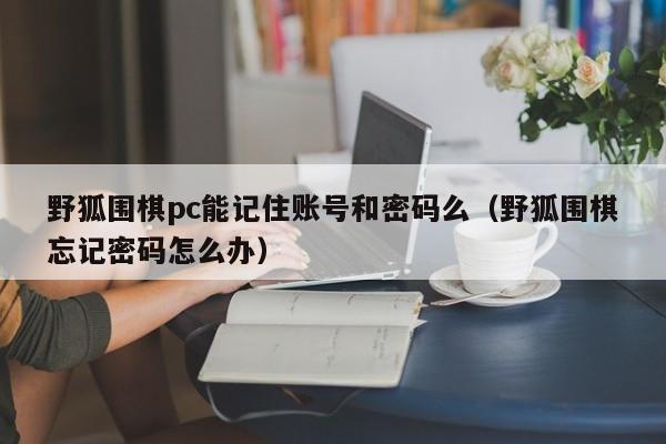 野狐围棋pc能记住账号和密码么(野狐围棋忘记密码怎么办)
