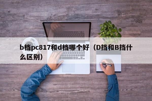 b档pc817和d档哪个好(D挡和B挡什么区别)