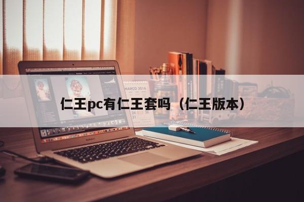 仁王pc有仁王套吗(仁王版本)