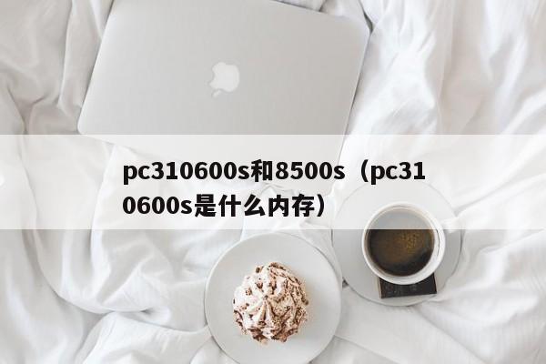 pc310600s和8500s(pc310600s是什么内存)