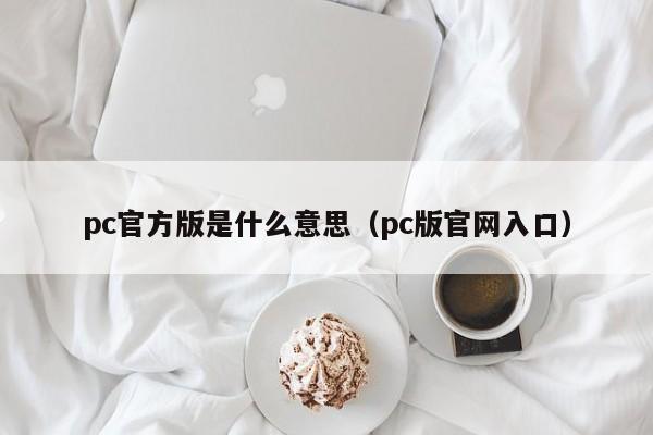 pc官方版是什么意思(pc版官网入口)