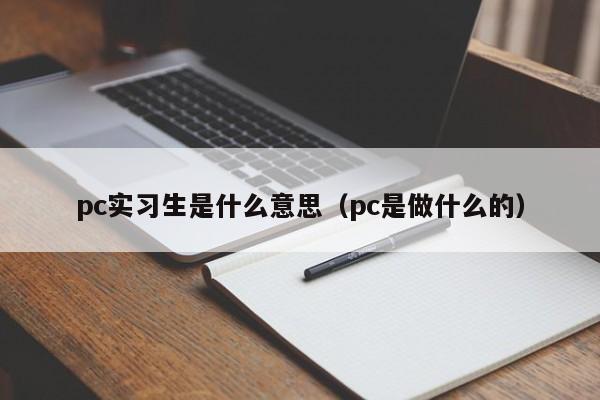 pc实习生是什么意思(pc是做什么的)