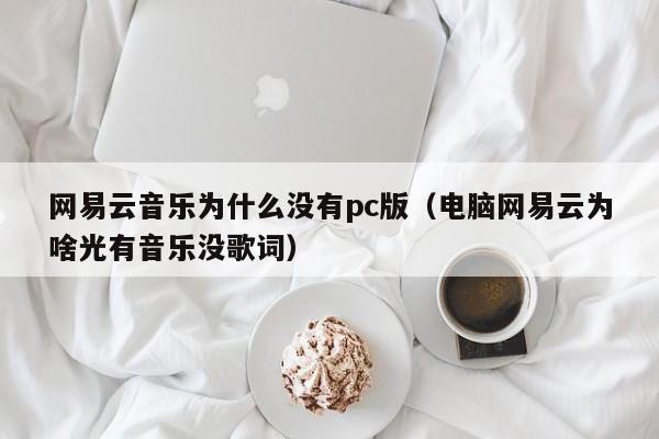 网易云音乐为什么没有pc版(电脑网易云为啥光有音乐没歌词)