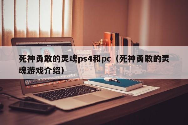 死神勇敢的灵魂ps4和pc(死神勇敢的灵魂游戏介绍)