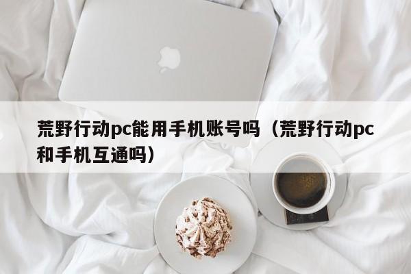 荒野行动pc能用手机账号吗(荒野行动pc和手机互通吗)