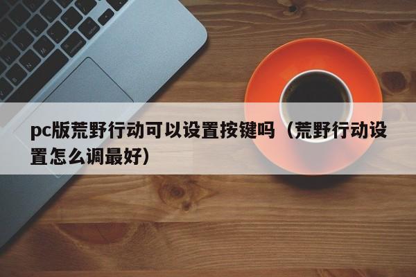 pc版荒野行动可以设置按键吗(荒野行动设置怎么调最好)