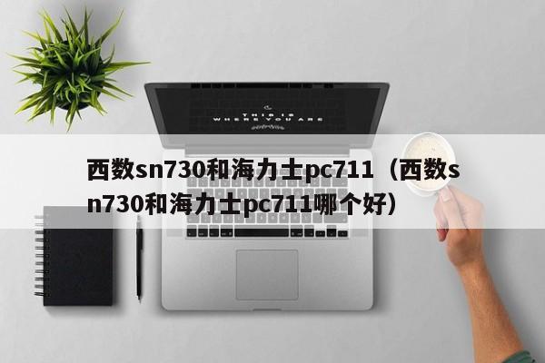 西数sn730和海力士pc711(西数sn730和海力士pc711哪个好)