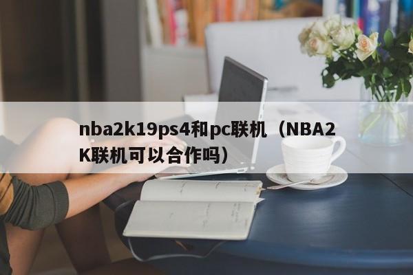 nba2k19ps4和pc联机(NBA2K联机可以合作吗)