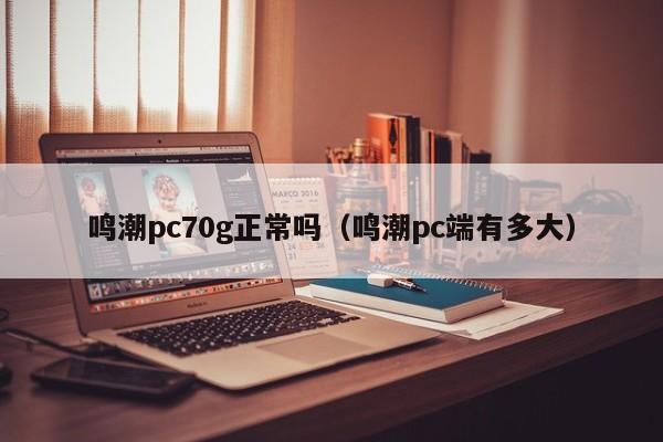 鸣潮pc70g正常吗(鸣潮pc端有多大)