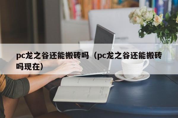 pc龙之谷还能搬砖吗(pc龙之谷还能搬砖吗现在)