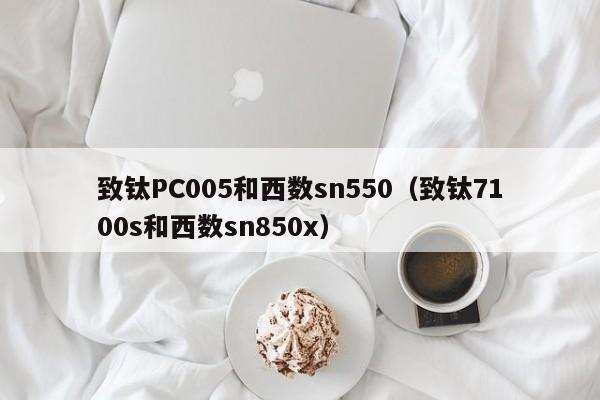 致钛PC005和西数sn550(致钛7100s和西数sn850x)