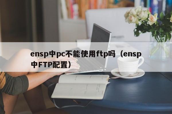 ensp中pc不能使用ftp吗(ensp中FTP配置)