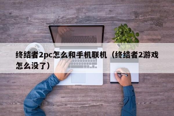 终结者2pc怎么和手机联机(终结者2游戏怎么没了)