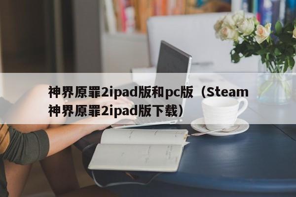 神界原罪2ipad版和pc版(Steam神界原罪2ipad版下载)