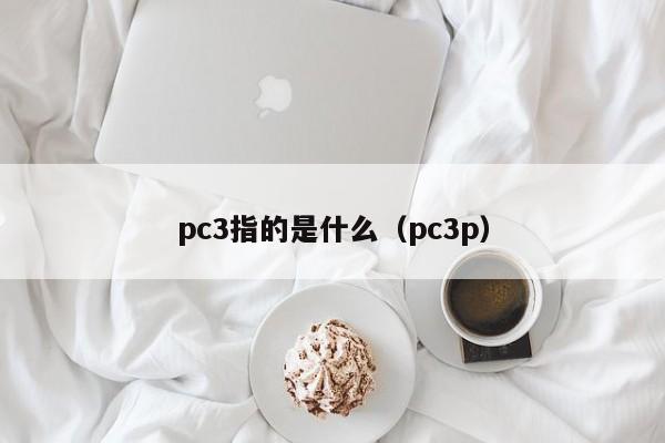 pc3指的是什么(pc3p)