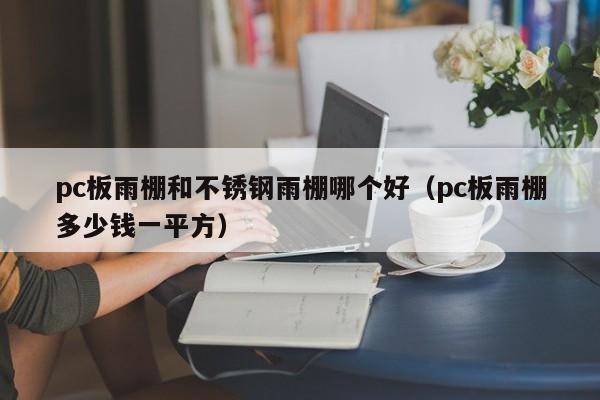pc板雨棚和不锈钢雨棚哪个好(pc板雨棚多少钱一平方)