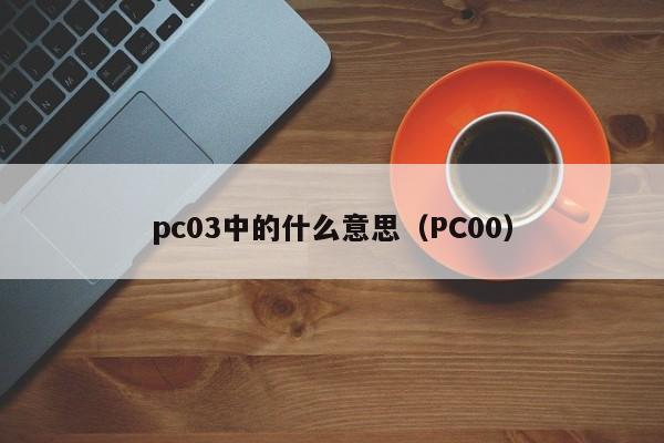 pc03中的什么意思(PC00)